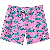 SURF CUZ Mens Swim Trunks 5 Inch Swim Shorts Quick Dry Bathing Suits for Men Beach Shorts Mesh Lining Swimming Trunks