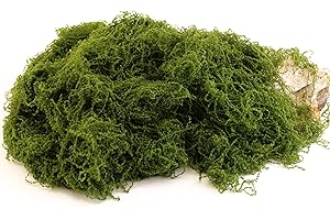 Caiyjhao Dark Green Moss is Used for Handicrafts, Artificial Moss, Glass Vase Fillers, Wedding/Christmas/Spring Green Parties/Indoor Flower Pots/DIY Rainforest Models/Table Decoration (7.05 Ounces)