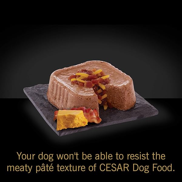 CESAR PET FOOD SELECT FOR PUPPIES, 3.5 OZ