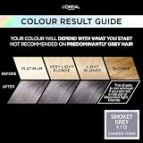 L'Oreal Paris Preference Vivids Smokey Grey 9.11 Permanent Hair Colour 1 pack view 2
