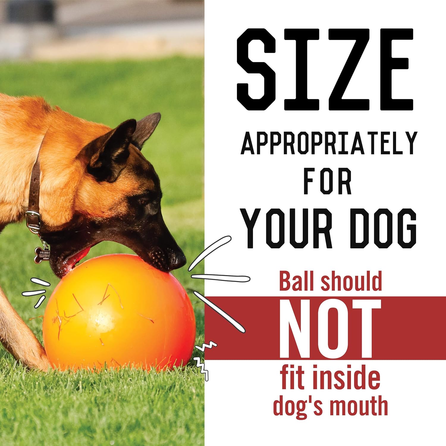 virtually indestructible ball
