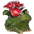 Cape Craftsmen Beautiful Springtime Classic Resin Animal Shaped Statue and Planter Pots for Indoor Plants - Small Planter Decoration for Homes, Apartments, Yards and Gardens (Frog)