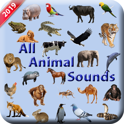 Amazon Com All Animal Sounde Apps Games