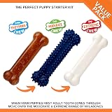 Nylabone Puppy Starter Kit 3 Pack Small Teething Chew Bones for Puppies up to view 4