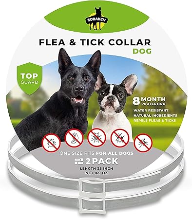8 month flea and tick