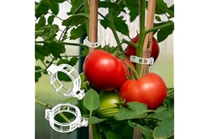 Baseca 350Pcs Plant Clips, Plant Clips for Climbing Tomato Vines, Grape Vines, Plastic Trellis Tomato Clips, Vegetable Plants - Garden Clips for Supporting and Climbing Growth for Healthier Plants