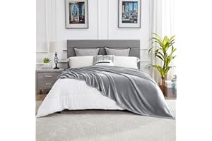 DREAMNINE Oversized Soft Fuzzy Fleece Throw Blanket for Couch Sofa 60" x 80", Decorative Solid Gray Lightweight Velvet Bed Blanket, Cozy Shaggy Micro Plush Flannel Blanket for Bedroom, Twin Size, Grey