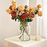 BLOFLO Clear Glass Vase, 9 Inch Large Glass Vase for Flowers, Modern Thick Glass Flower Vases for Centerpieces, Decorative Glass Cylinder Hydroponic Vase for Wedding, Home, Office (Clear, 9Inch)