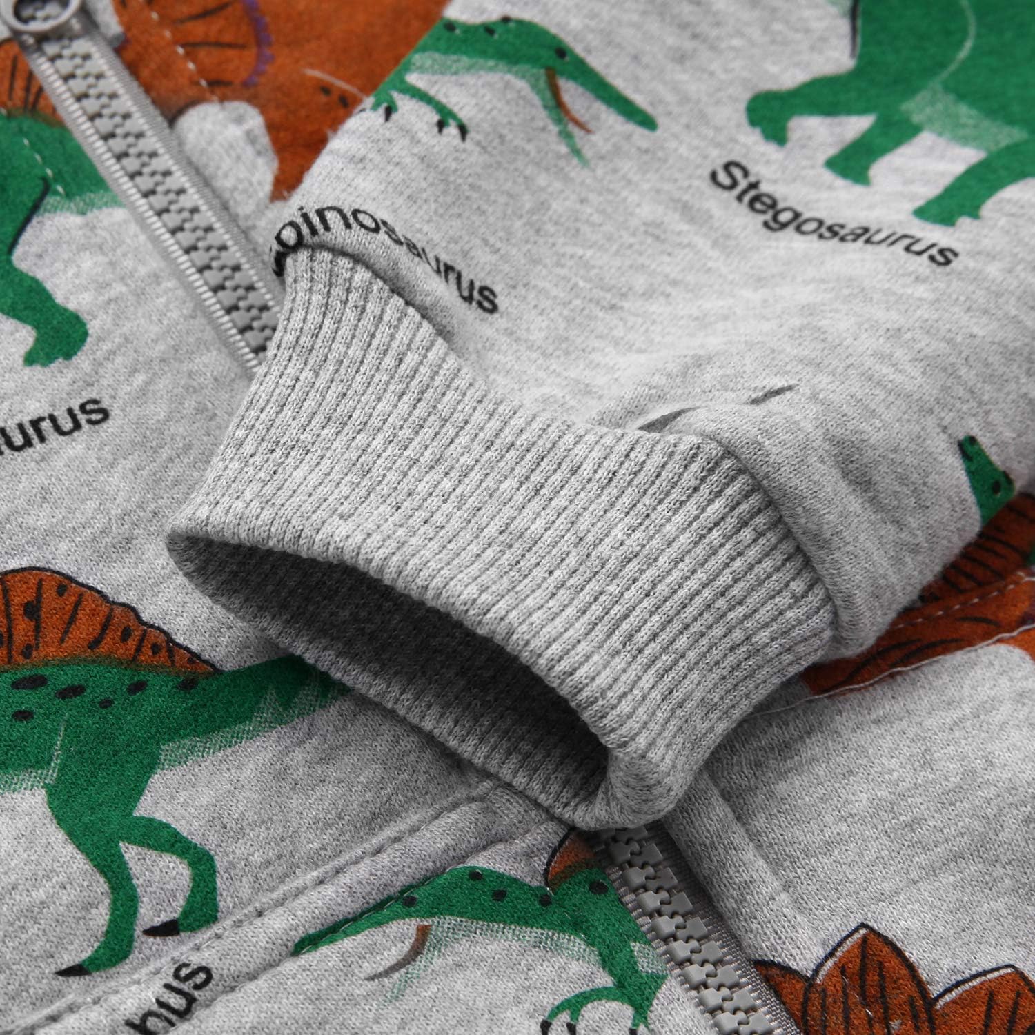 Toddler Boys Dinosaur Sweatshirts Cartoon Winter Long Sleeve Kids Sport Outdoor Pullover Tops Tees 2T-8T: Clothing