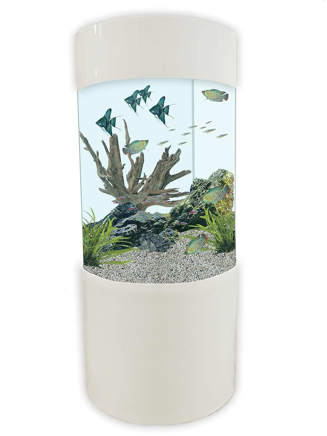 Are Tower & Column Aquariums A Good Choice? Aquatics World