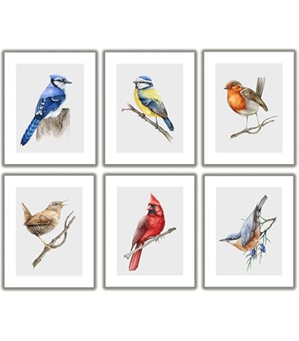 Amazon.com: LoveThePrint Large Collection of Antique Bird