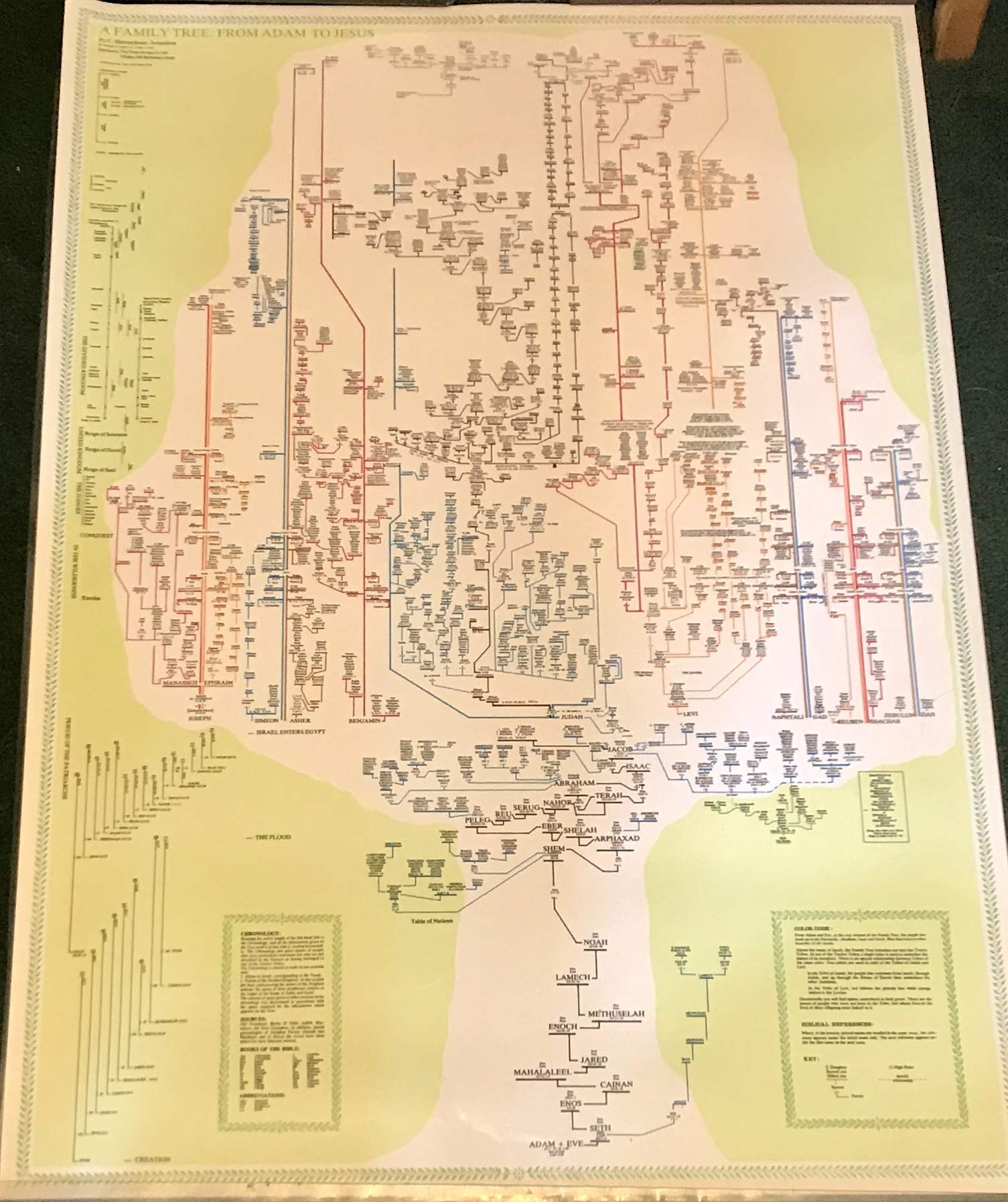 Family Tree From Adam To Jesus Poster Amazon Com Books