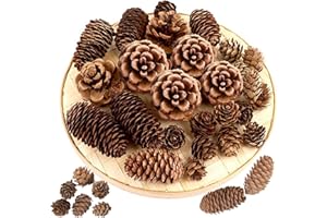 Christmas Pine Cone Decorations, 40 Pcs Large Natural Pine Cones for Crafts - Large Medium and Mini Sizes for Table Tree and 