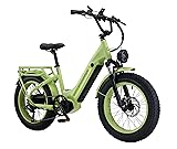 Electric Bike for Adults,1000w (Peak 1500) Ebike