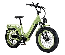 Electric Bike for Adults,1000w (Peak 1500) Ebike