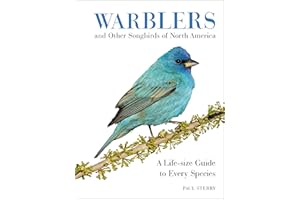 Warblers and Other Songbirds of North America: A Life-size Guide to Every Species