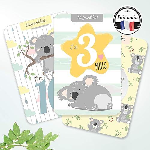 Cartes Etapes Bebe Mois Par Mois Cadeau Naissance Animaux