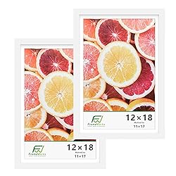 FrameWorks 2-Pack, 12x18 Matted to 11x17 Picture