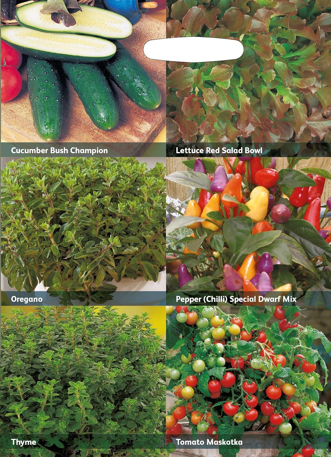 Mr Fothergills RHS Vegetables for a Vertical Garden Collection Seeds - Image 4
