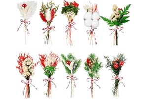 WGXX 10/12/24 Pack Dried Flowers for Vase Various Mini Bouquet Dried Small Wildflowers Natural Real Flowers Bulk for Crafts DIY Wedding Decor (10, Christmas Color1)