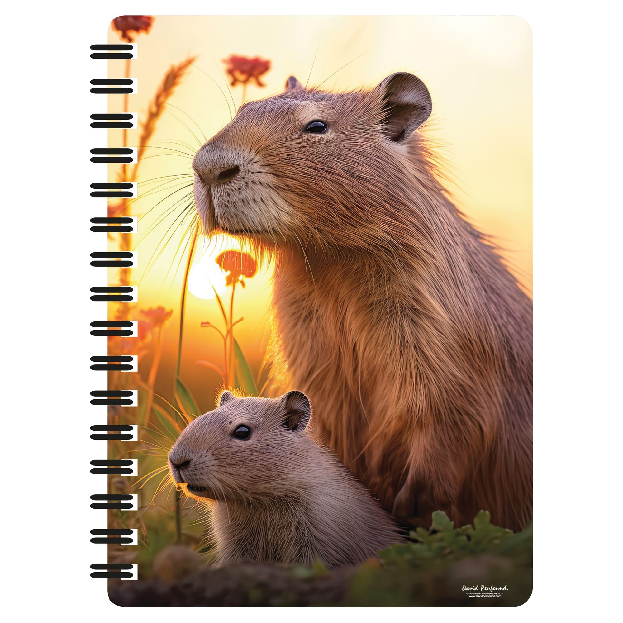 3D LiveLife Jotter - Cute Capybaras from Deluxebase. Spiral Bound A6 Notebook with 80 Plain Recycled Pages. Pocket Sized Animal Notepad, Journal or Drawing Book with Cute Cover