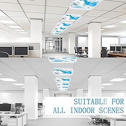 SCWISOAS Fluorescent Light Covers for Ceiling