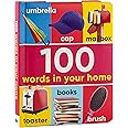 100 Words in Your Home (Early Learning)