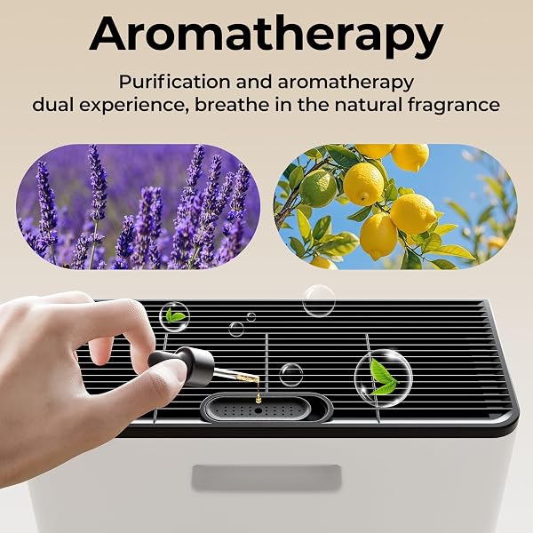 EVALIT AIR PURIFIERS FOR HOME LARGE ROOM, AIR PURIFIER UP TO 2200SQ.FT, PM2.5 AIR QUALITY DISPLAY, SLEEP MODE WITH FRAGRANCE FOR SMOKE DUST ODORS, ET066, WHITE, 1PACK+3MODES