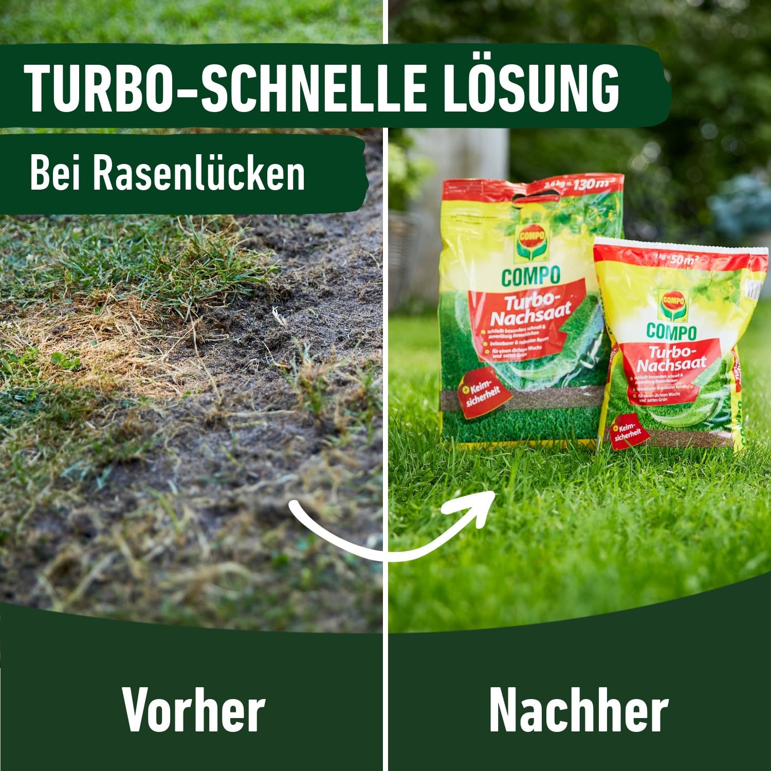 COMPO Turbo Nachsaat, Rasensamen, Schließt besonders schnell und zuverlässig Lücken im Rasen, Mit Keimsicherheit, 1 kg, 50 m² 6