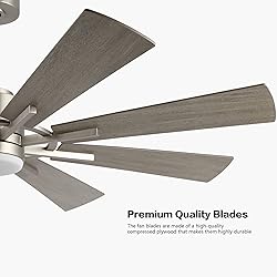 WINGBO 72" DC Ceiling Fan with Lights, Brushed