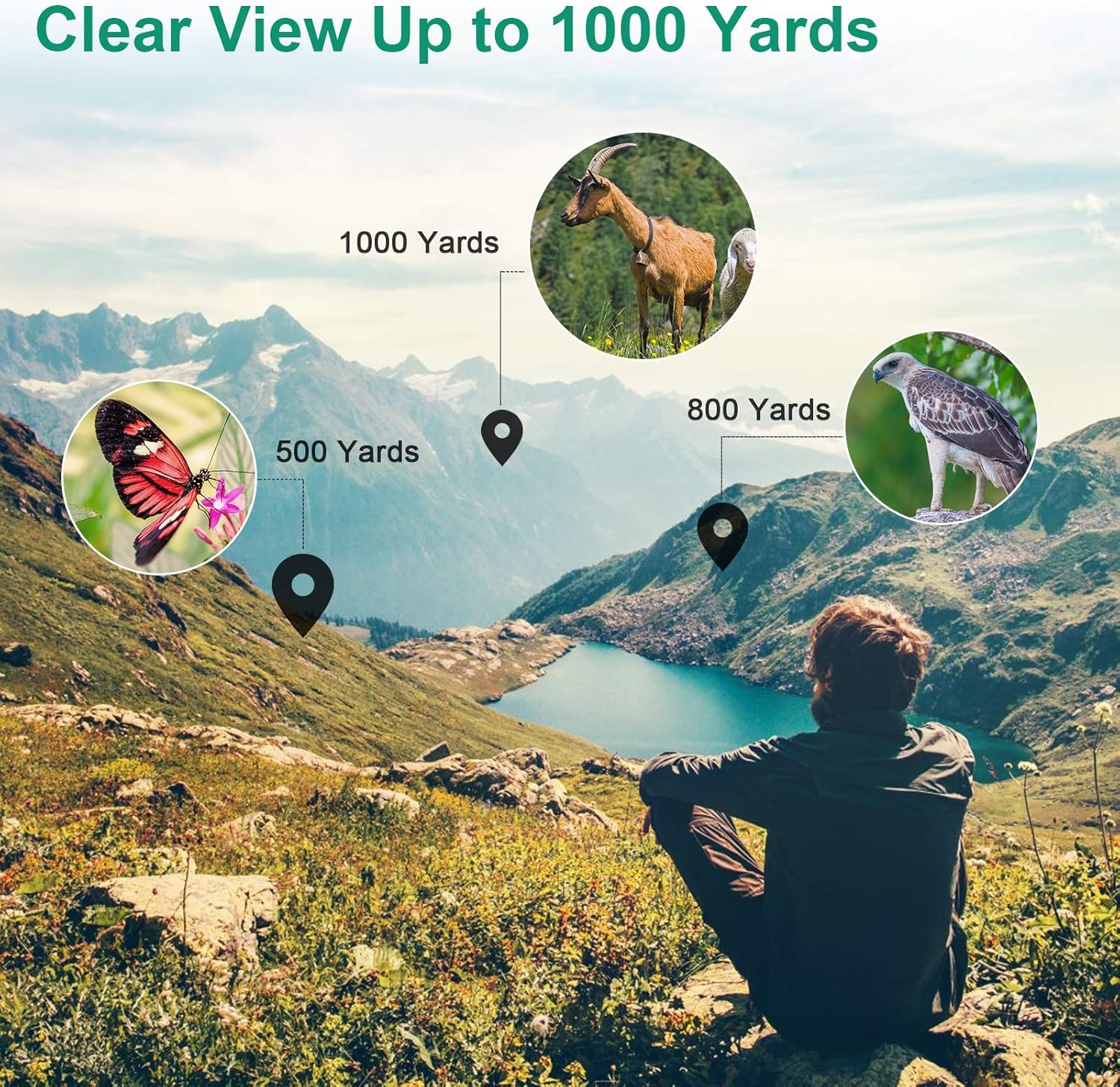 Hawiton Monocular Telescope High Power with Smartphone Holder & Tripod- 12X50 HD FMC Lens & BAK4 Prism Dual Focus Optics Zoom, Low-Light Night Vision Waterproof Monocular Binoculars for Bird Watching: Home Audio & Theater