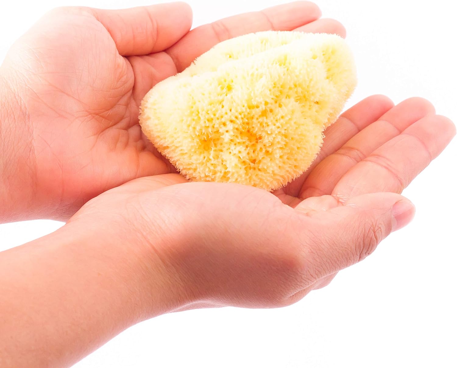 Eponge Bebe Zephyr Eponge De Mer Naturelle Pour La Toilette De Bebe 5 8cm Eponge De Bain Vegetale Et Lavable Pour Bebe Amazon Fr Bebes Puericulture Eponge Bebe Zephyr Eponge De Mer Naturelle Pour La Toilette De Bebe 5 8cm Eponge De Bain Vegetale Et Lavable Pour Bebe Amazon Fr Bebes Puericulture