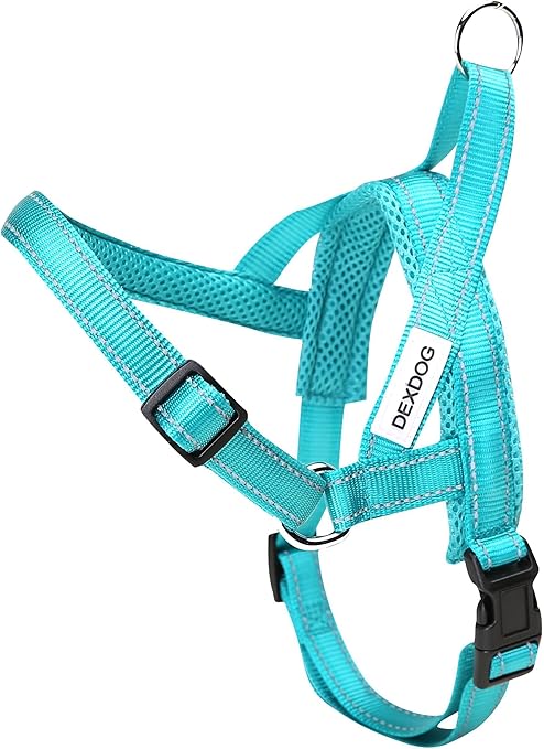 turquoise dog harness