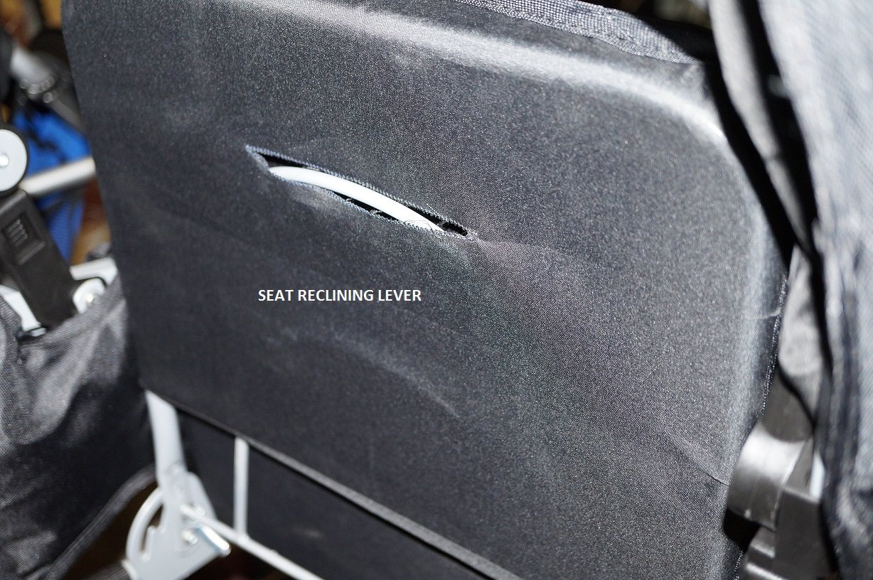 adelina double stroller