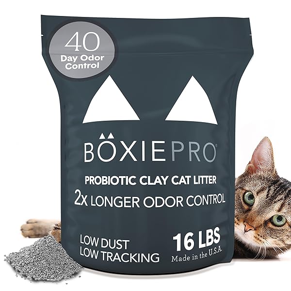 BOXIE® PROBIOTIC CAT LITTER 40 DAY NATURAL ODOR CONTROL, 16LB CLUMPING KITTY LITTER (CLAY)
