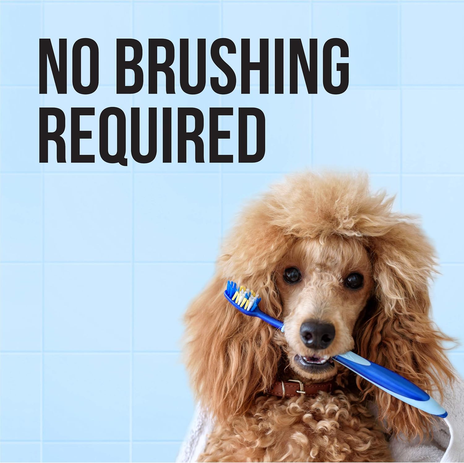 dog mints and mouthwash