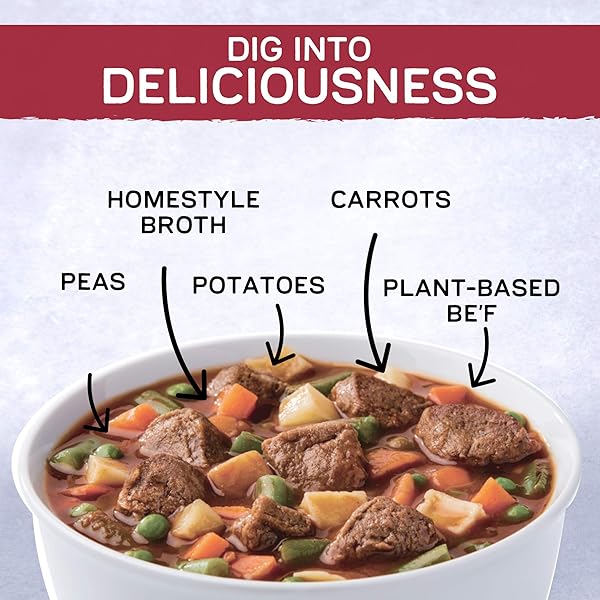 GARDEIN SOUP BEEF COUNTRY VEGETABLE, 15 OZ