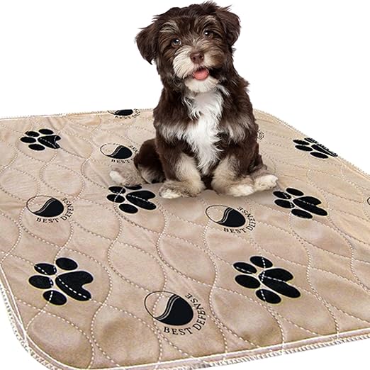 best dog pads for apartments