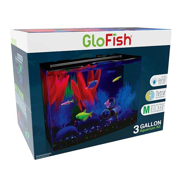 GLOFISH CRESCENT AQUARIUM KIT 3 GALLONS, INCLUDES HIDDEN BLUE LED LIGHT AND INTERNAL FILTER