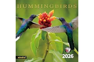 WINDRIO 2026 Wall Calendar,Calendar 2026, November 2025 - December 2026, Wall Calendar Hummingbird, 12" x 24" Opened,Full Page Months Thick & Sturdy Paper for Calendar Organizing & Planning