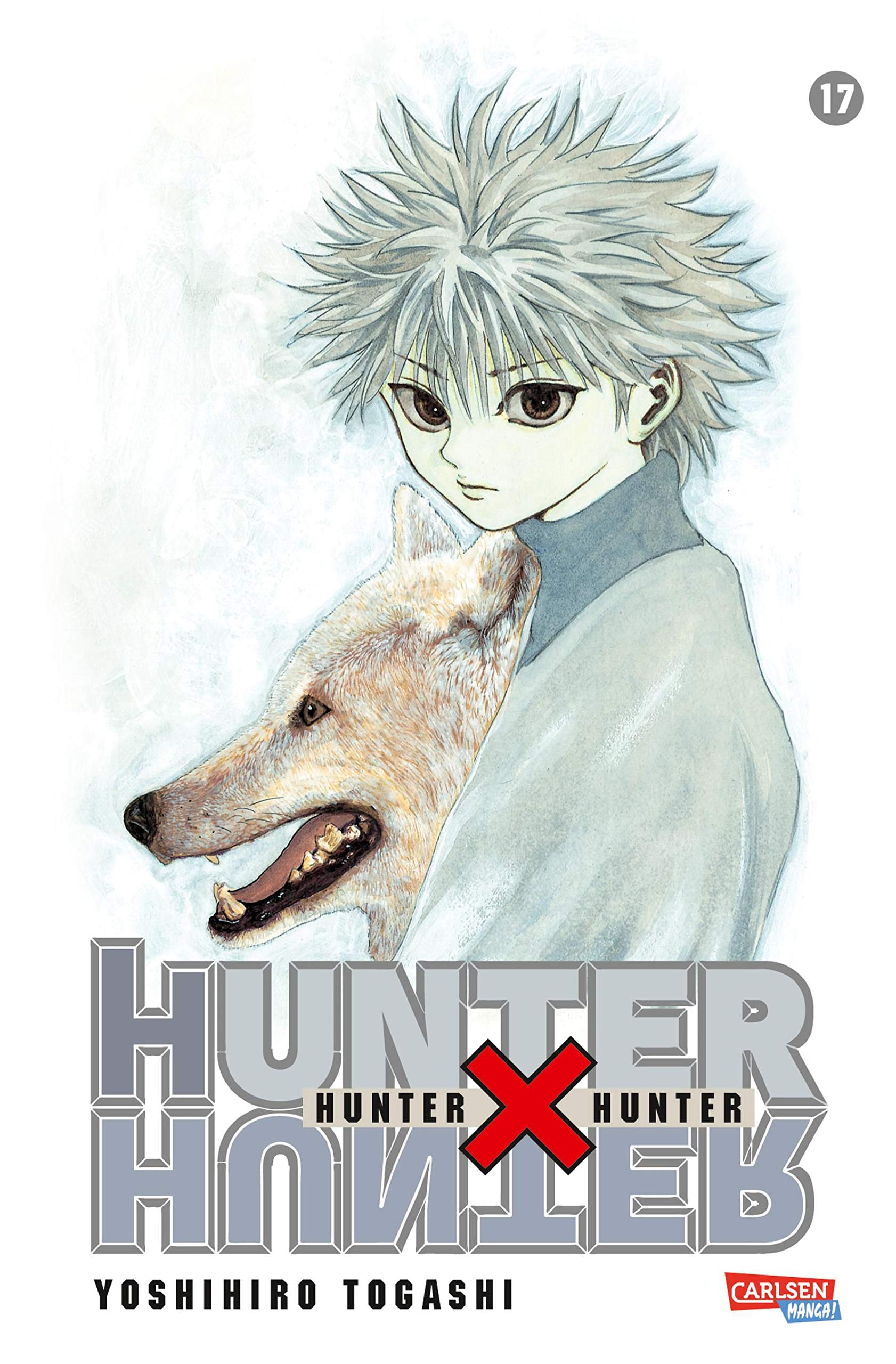 Hunter X Hunter 17 Togashi Yoshihiro Amazon Com Books