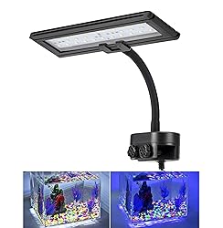 hygger 9.7 Inches Blue White LED Aquarium Light