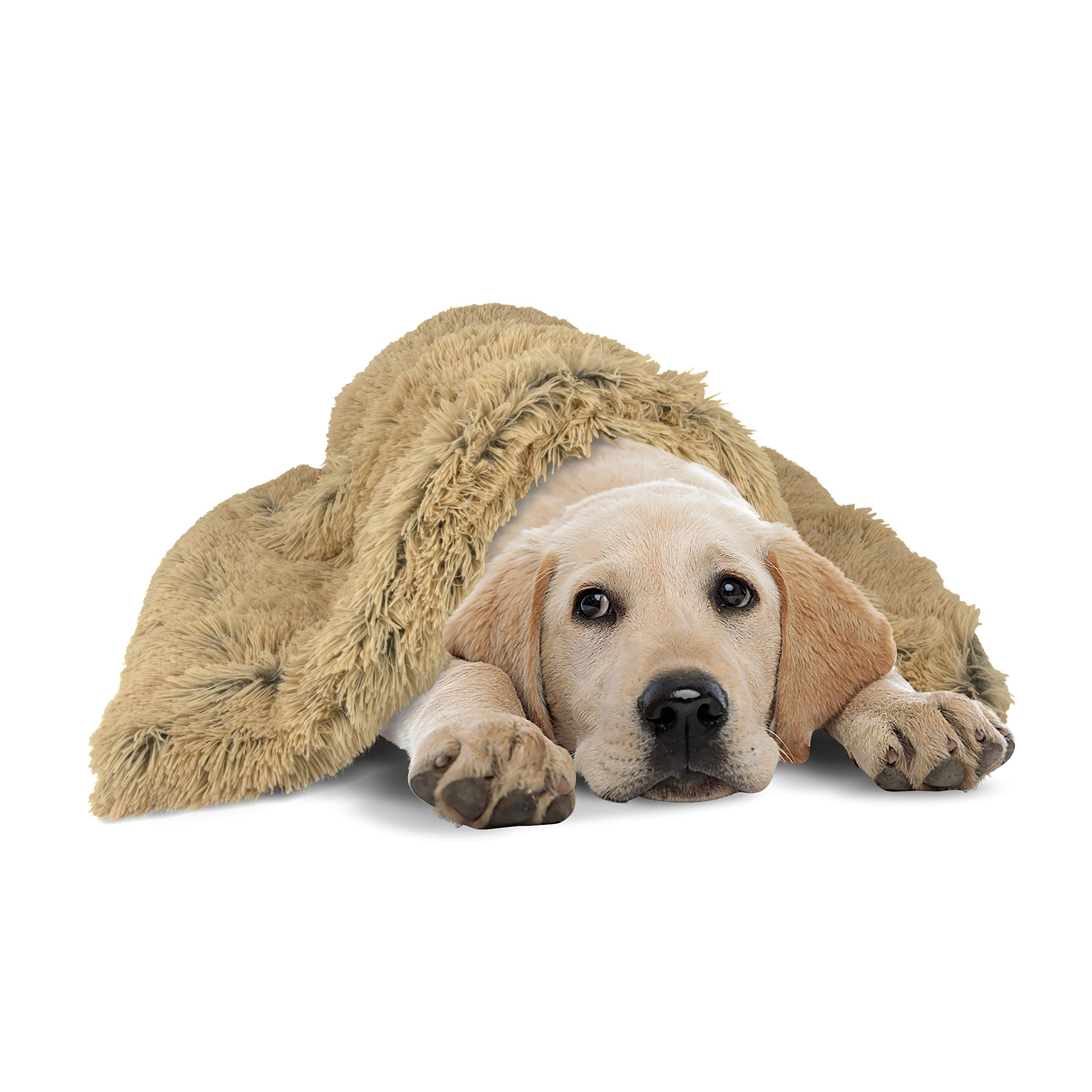 The Dog’s Blanket Sound Sleep Donut Blanket, Large Beige, Calming, Anti-Anxiety Snuggler Blanket, Veterinary Approved