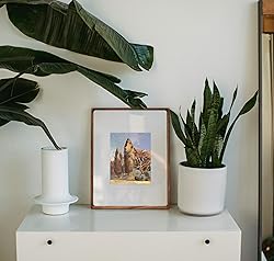 Gdfmsc 8x10 Picture Frame with Mat for