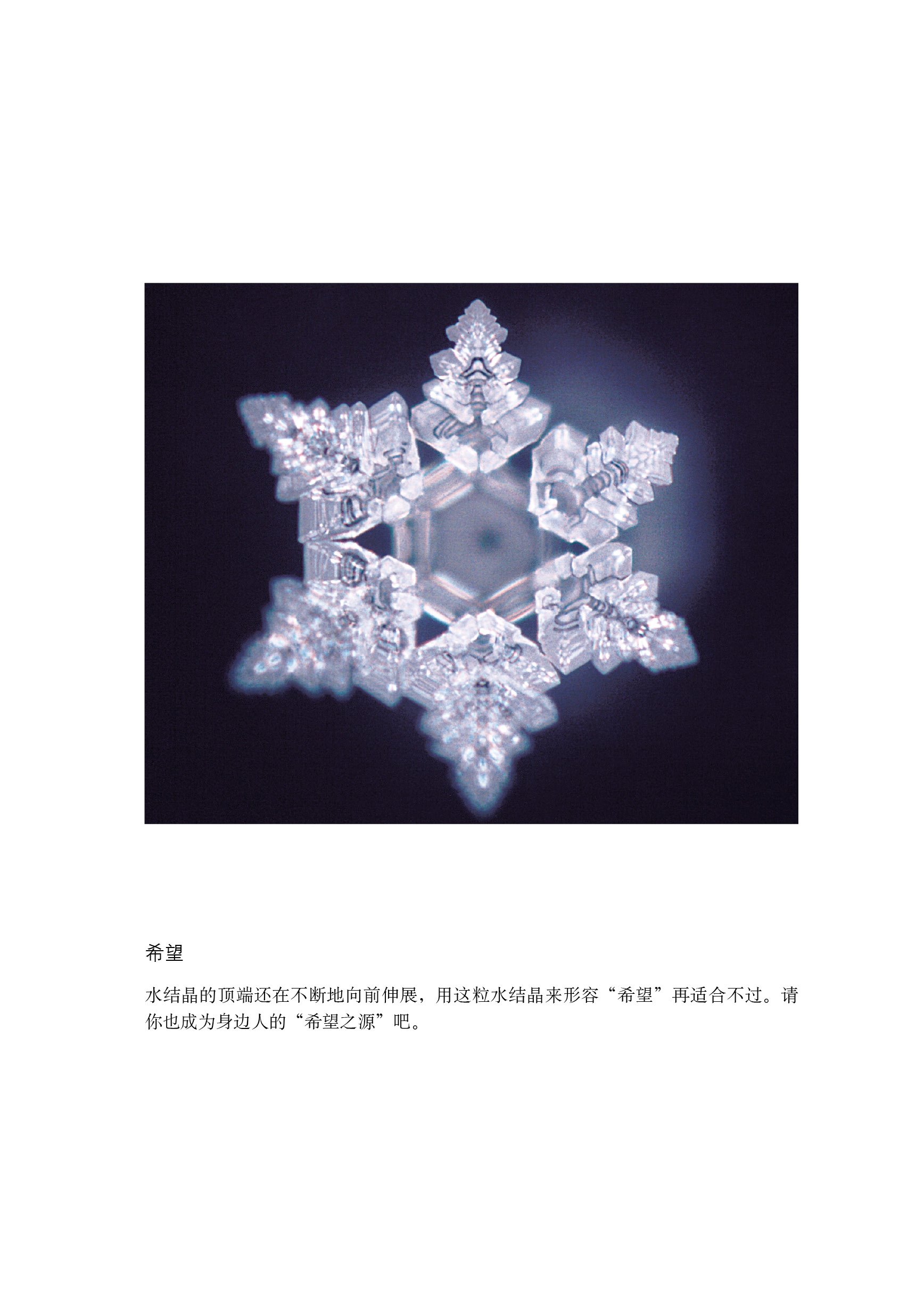 写真 水知道答案大全集 全四册大开本水结晶写真集 全彩印刷 大量美丽结晶首次面世 日 江本胜著 王维幸译 Amazon Com Books 写真 水知道答案大全集 全四册大开本水结晶写真集 全彩印刷 大量美丽结晶首次面世 日 江本胜著 王维幸译 Amazon Com Books