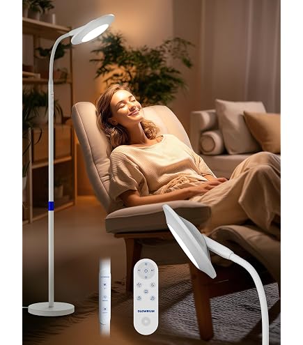 Amazon.com: Daylight Company Gemini led floor lamp : Tools & Home