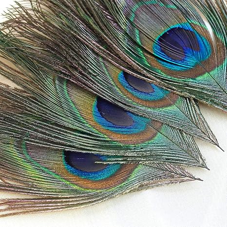 Winomo 100 Stuck 25 30 Cm Schone Naturliche Federn Pfauenfedern Augen Handwerk Dekoration Kunst Kleid Hute Hochzeit Party Kostum Amazon De Kuche Haushalt