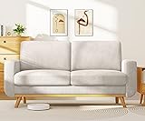 Vesgantti 68" Loveseat Sofa Light Grey, Comfy