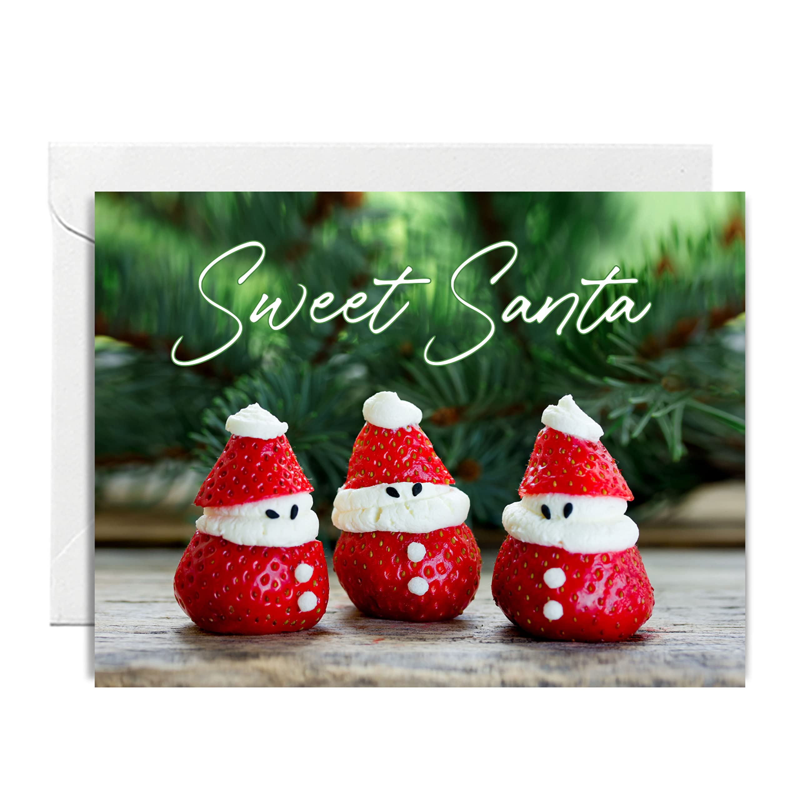 easykart labels 24 Christmas Greeting Cards with Envelopes, Sweet Santa Designs, 7.25 x 5.5 Inch Merry Christmas Cards with Seal Stickers