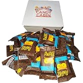 Awake Caffeinated Chocolate Energy Bites Gift Box (30 count) (Milk Chocolate)